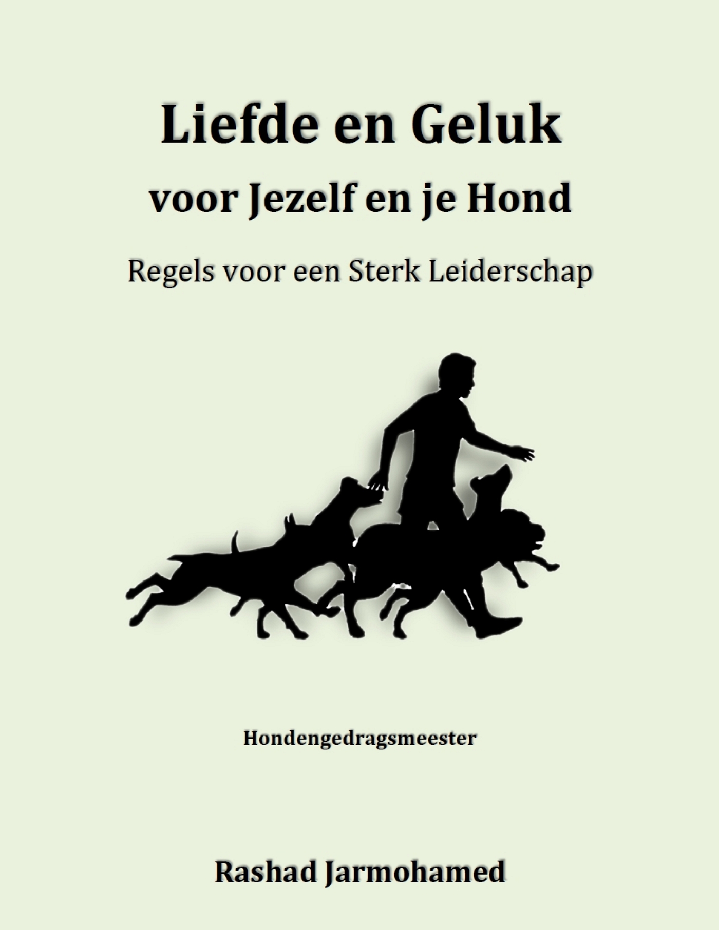 Omslag van Regels voor een Sterk Leiderschap