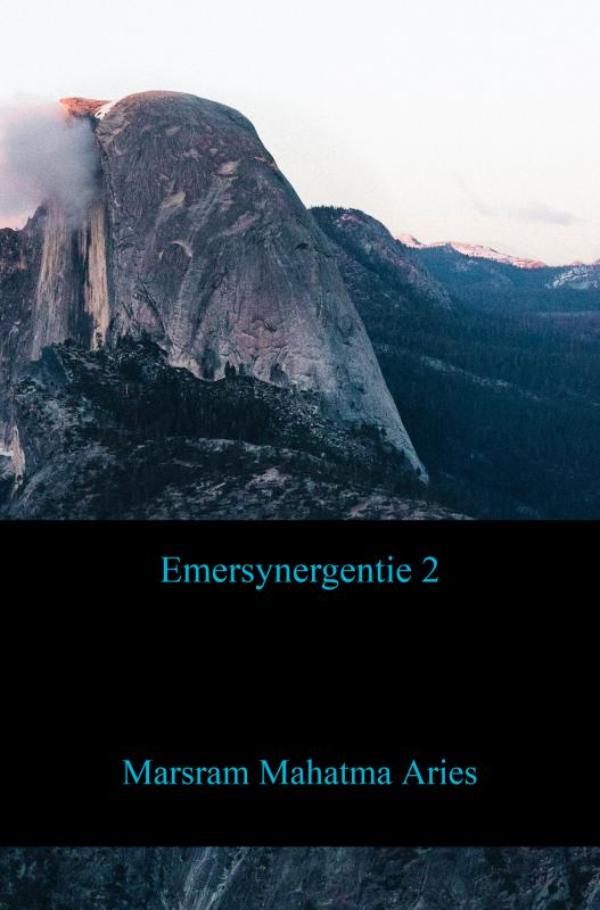 Omslag van Emersynergentie 2