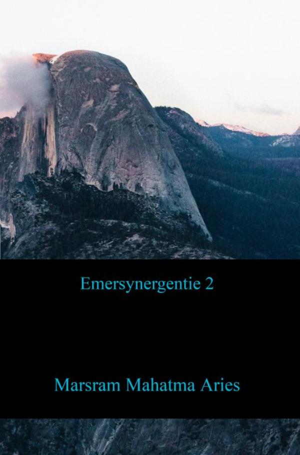Omslag van Emersynergentie 2