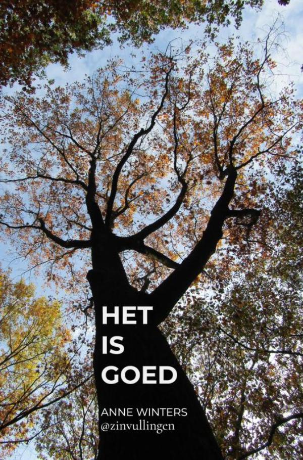 Omslag van Het is goed