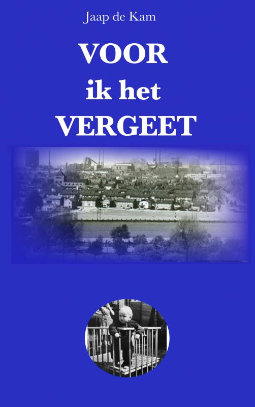 Omslag van Voor ik het Vergeet