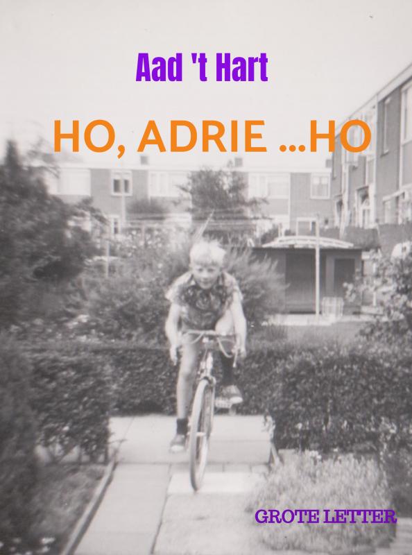 Omslag van Ho, Adrie ...Ho