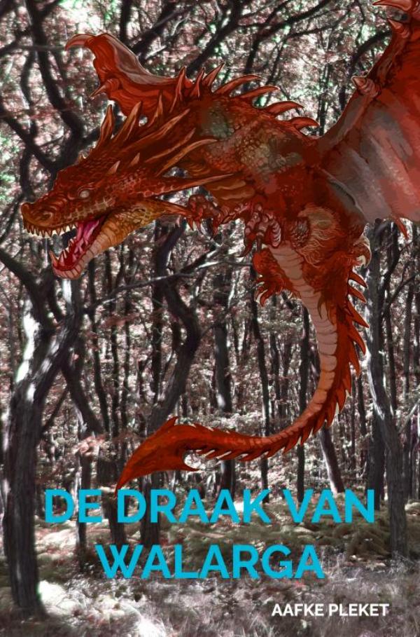 Omslag van De draak van Walarga