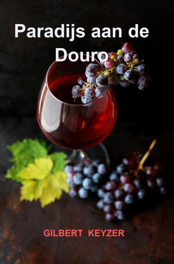 Omslag van Paradijs aan de Douro