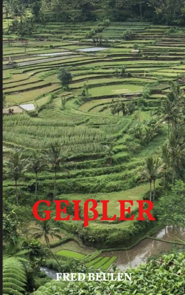 Omslag van GEIβLER