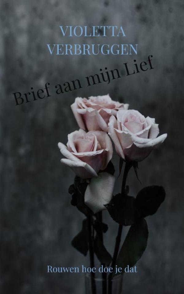 Omslag van Brief aan mijn Lief