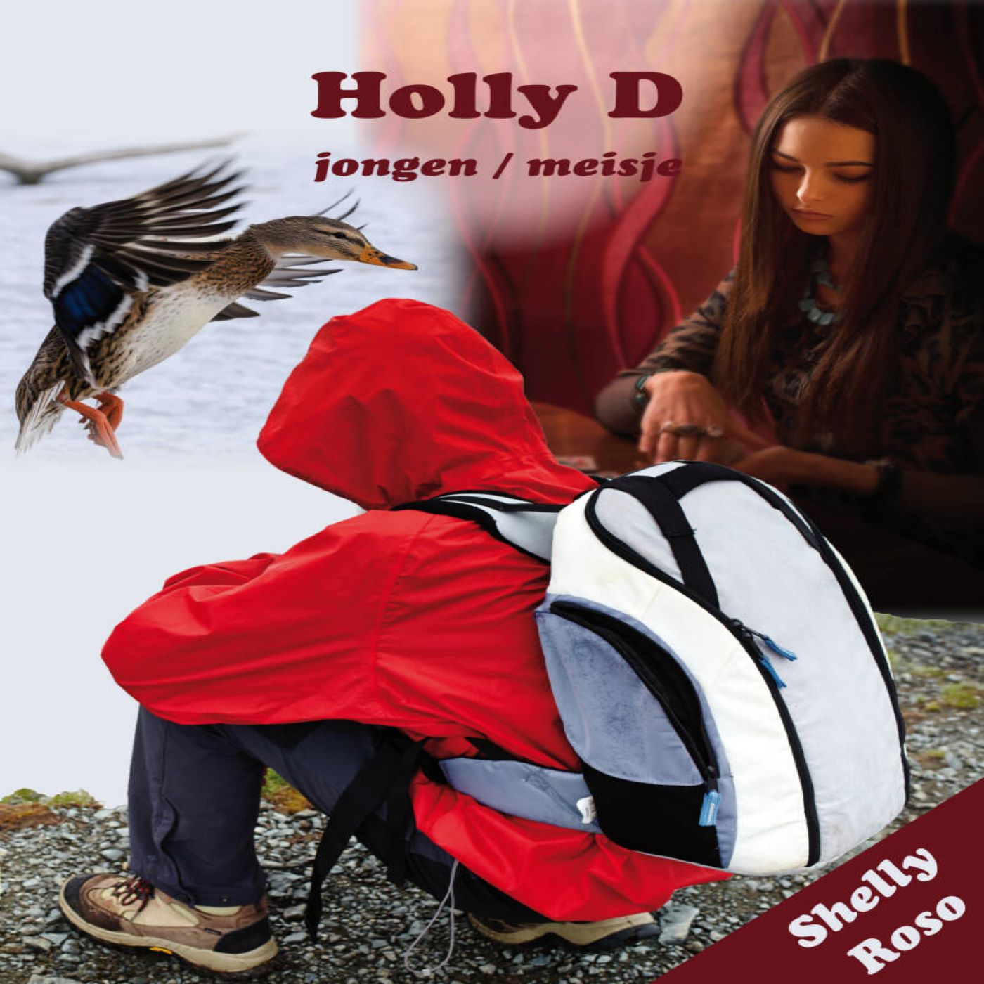 Omslag van Holly D