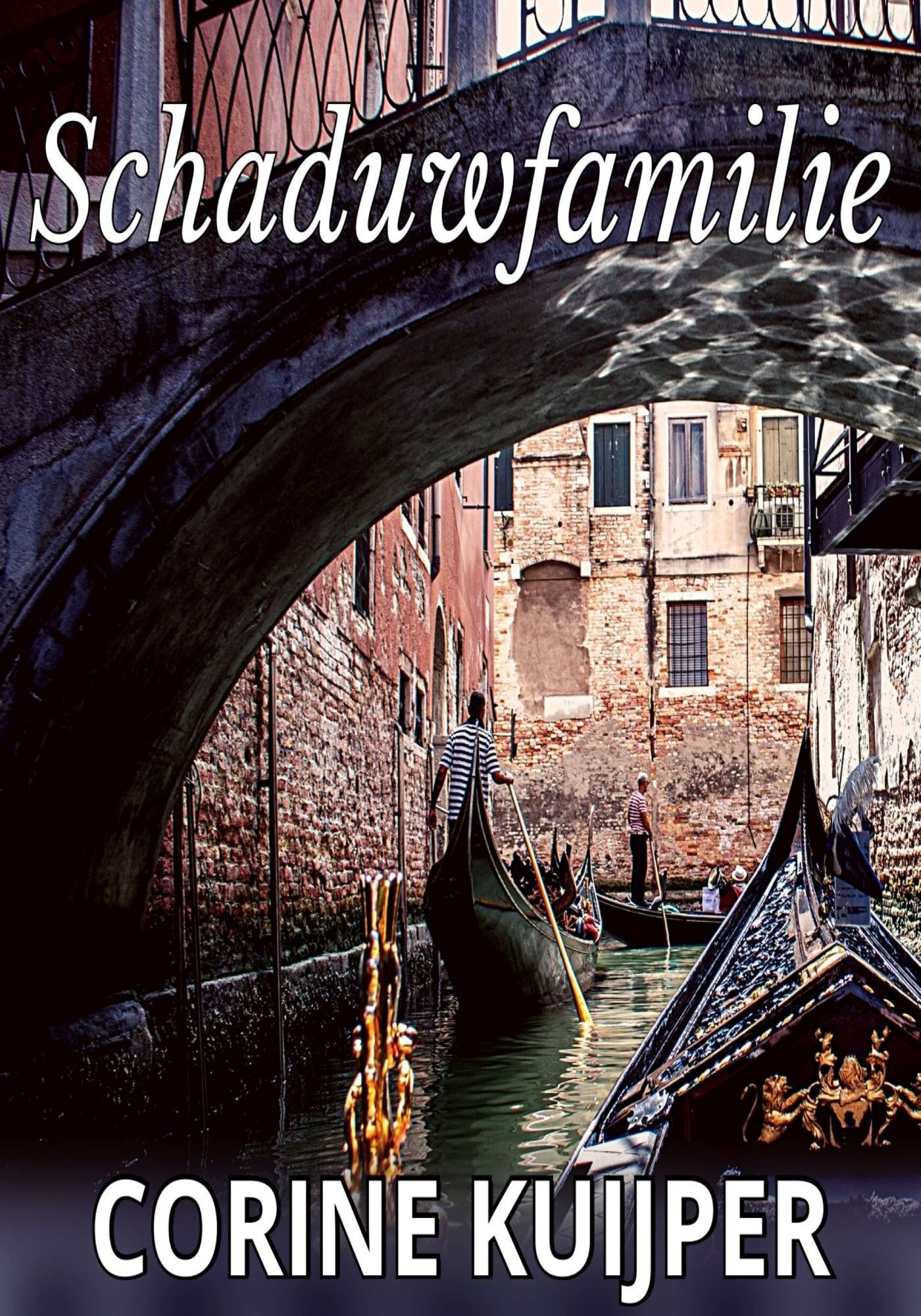Omslag van Schaduwfamilie