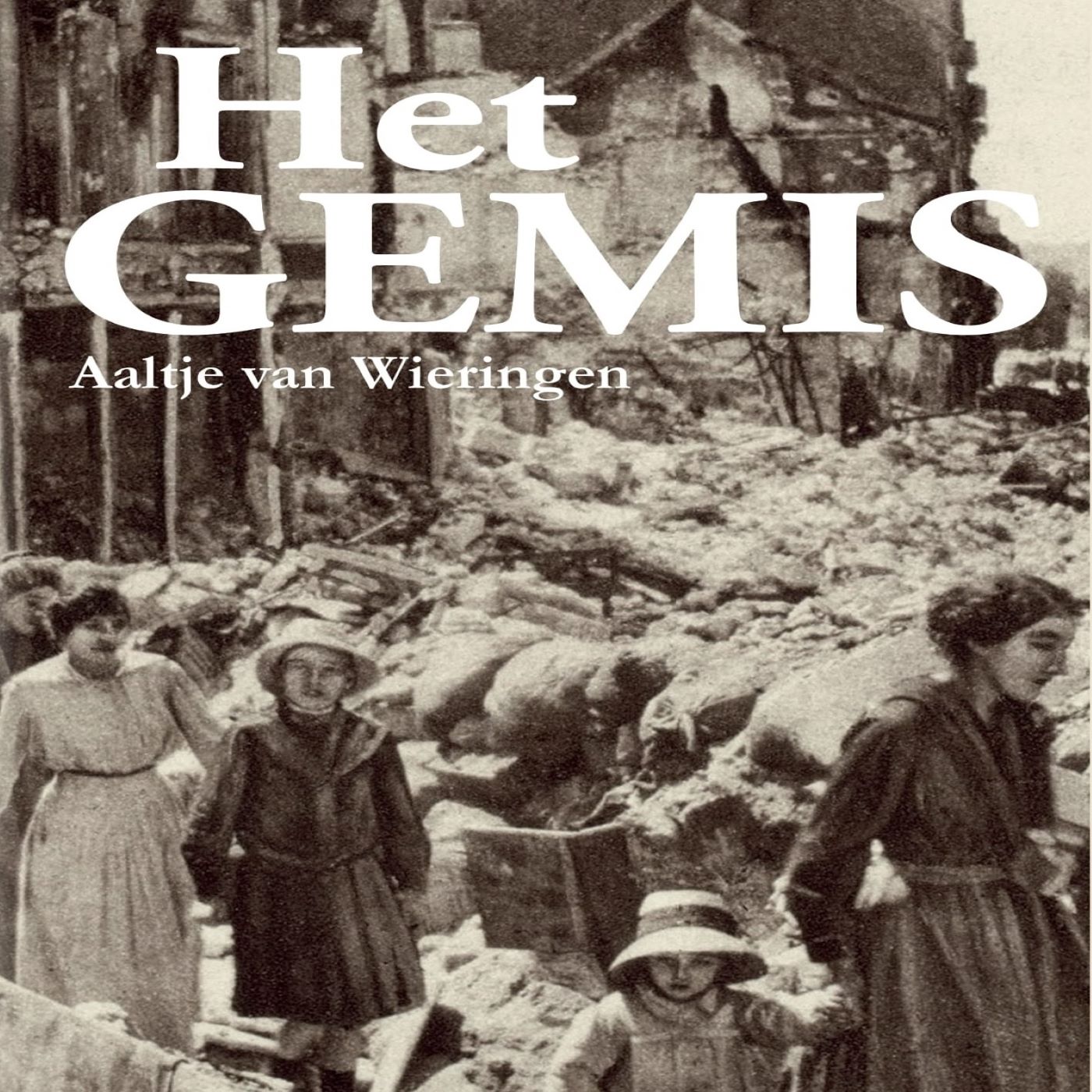 Omslag van Het gemis