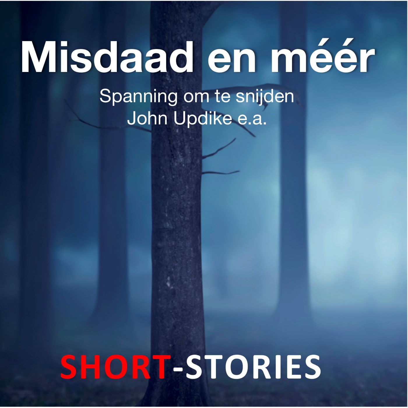 Omslag van Misdaad en méér