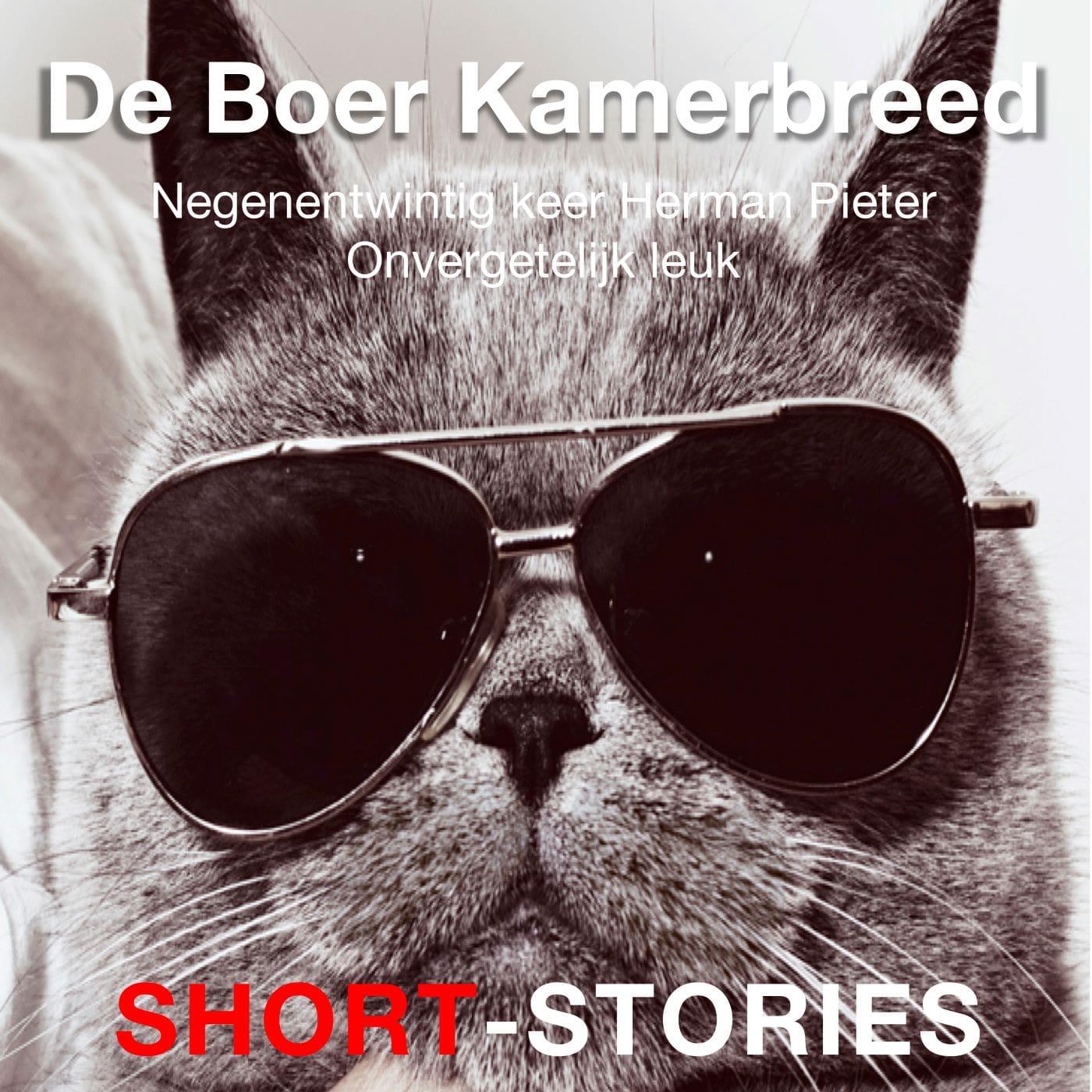 Omslag van De Boer Kamerbreed