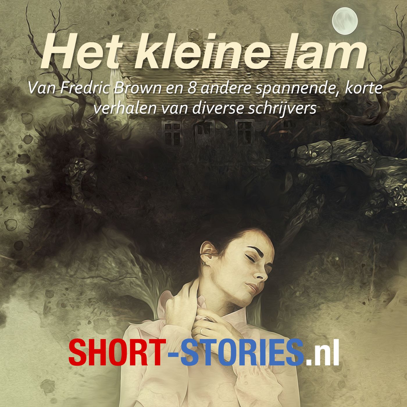 Omslag van Spannende verhalen