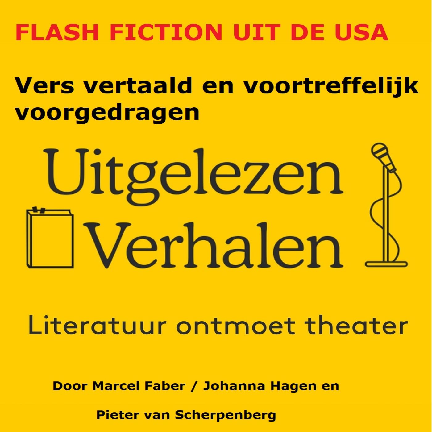 Omslag van Flash fiction uit de USA