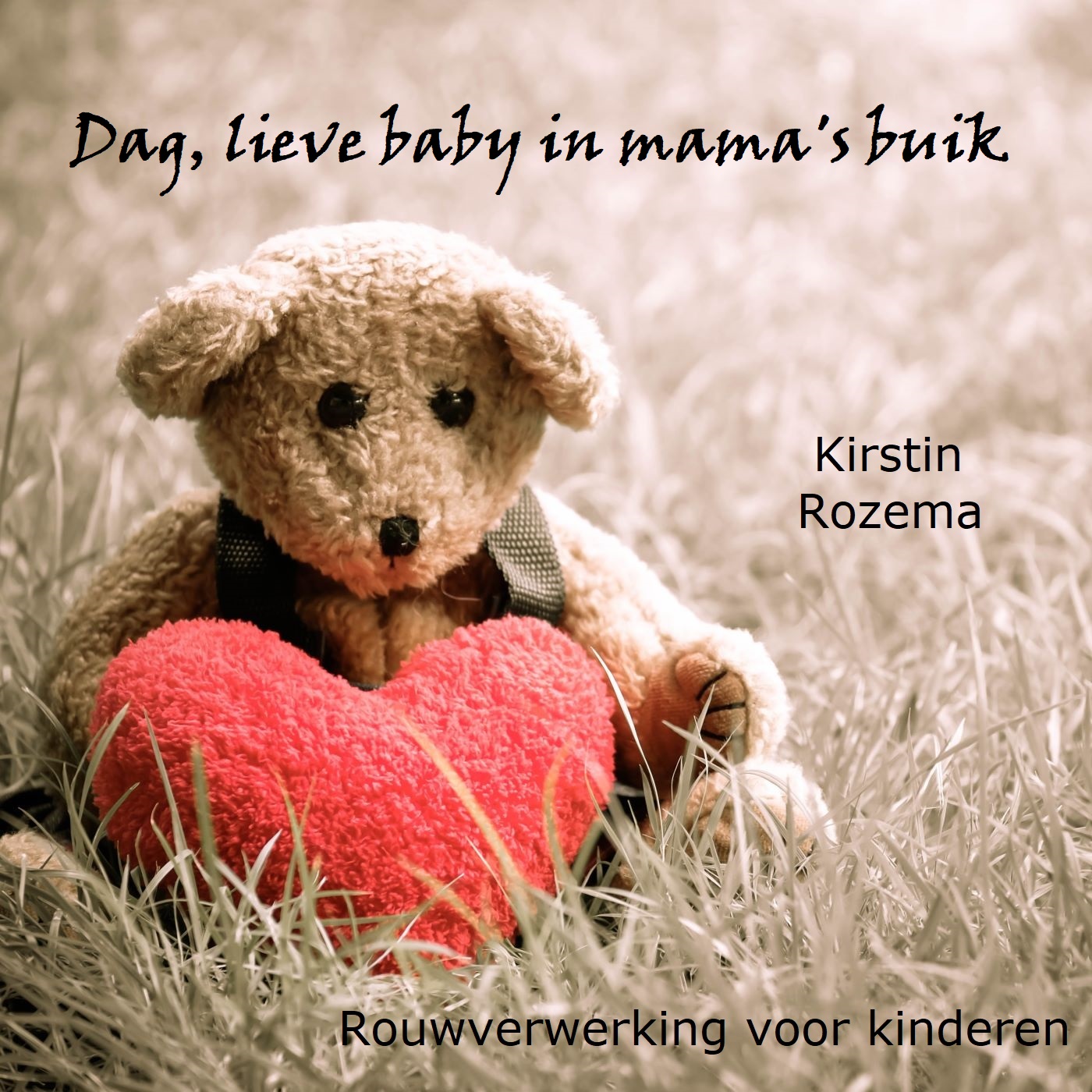 Omslag van Dag lieve baby in mama's buik