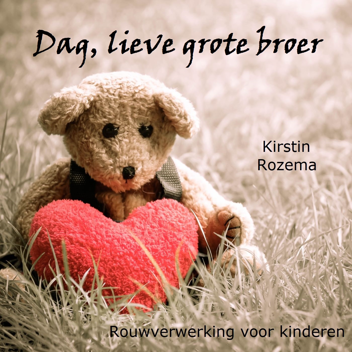 Omslag van Dag lieve grote broer