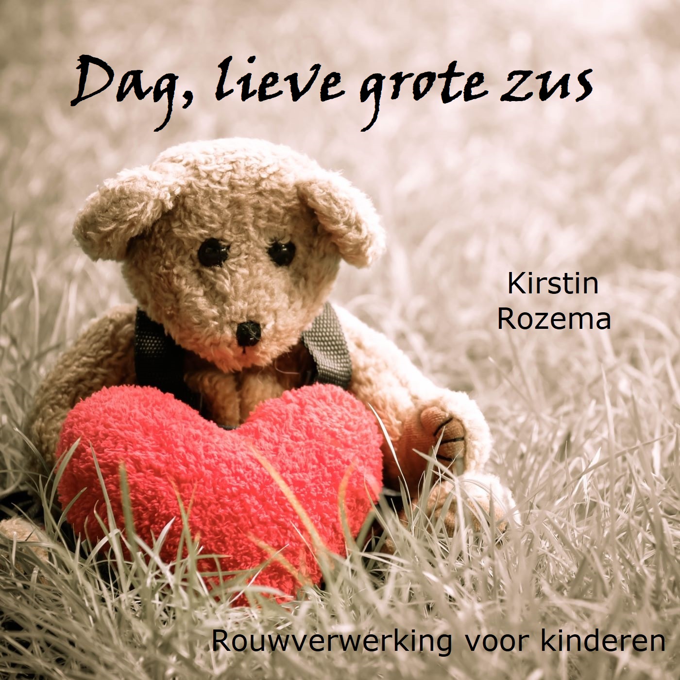 Omslag van Dag lieve grote zus
