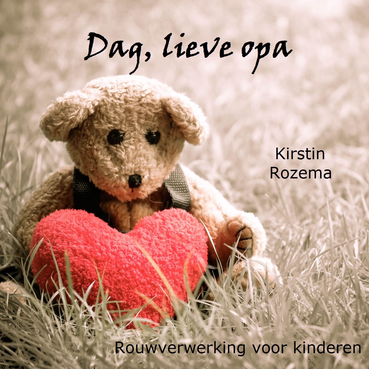 Omslag van Dag lieve opa