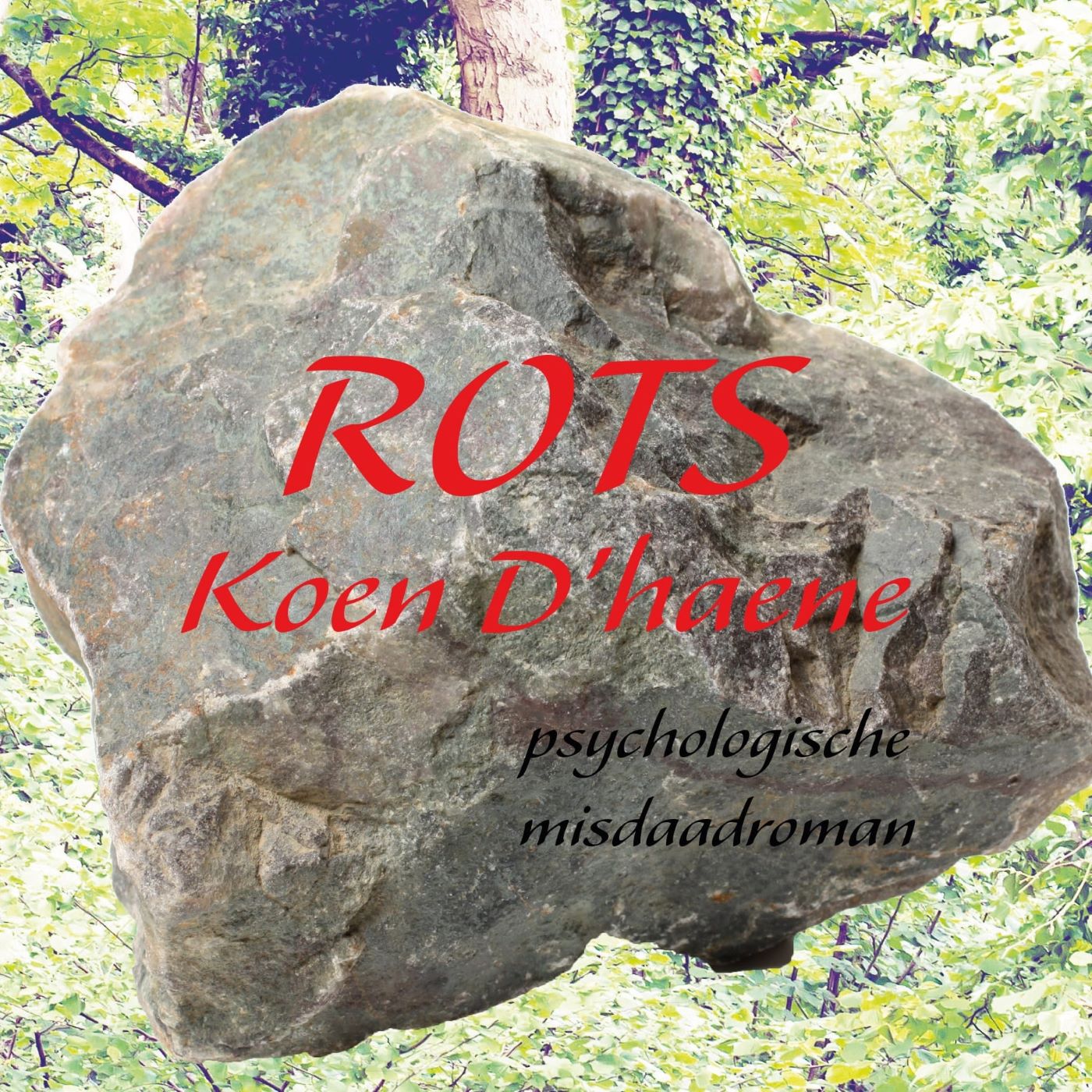 Omslag van Rots