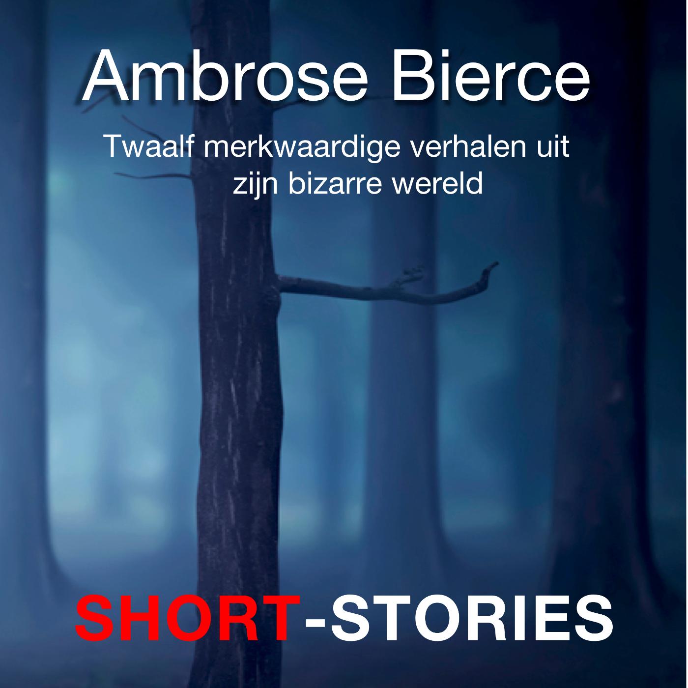 Omslag van Bizarre wereld