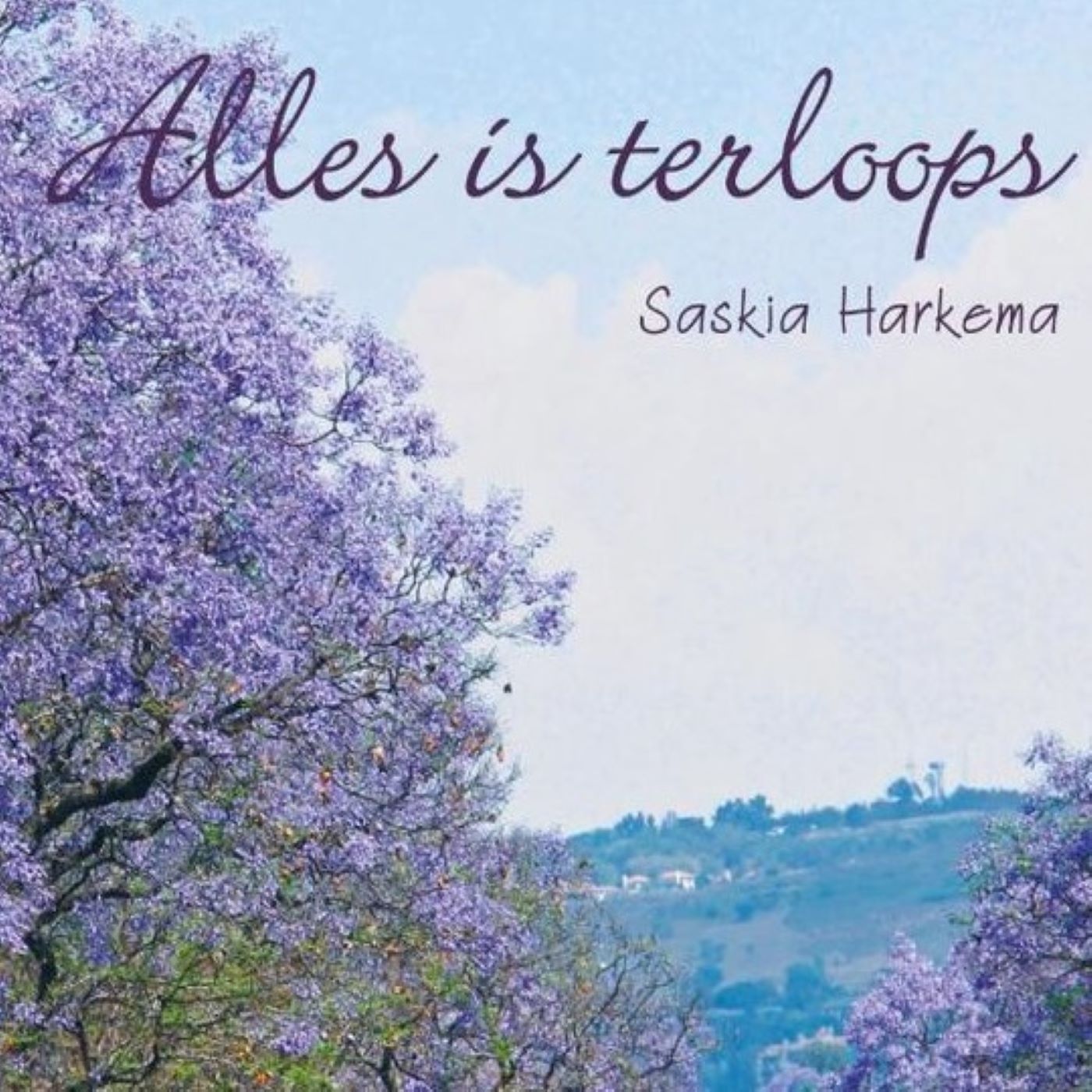 Omslag van Alles is terloops