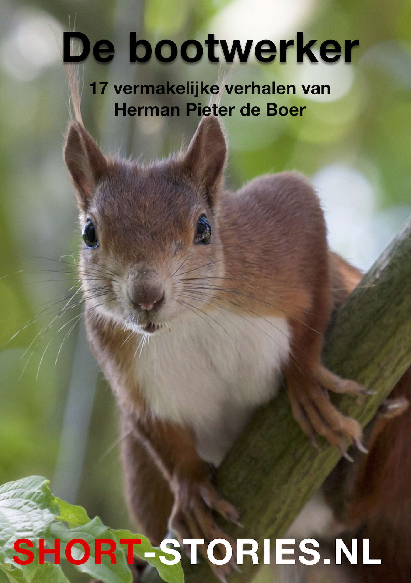 Omslag van De bootwerker