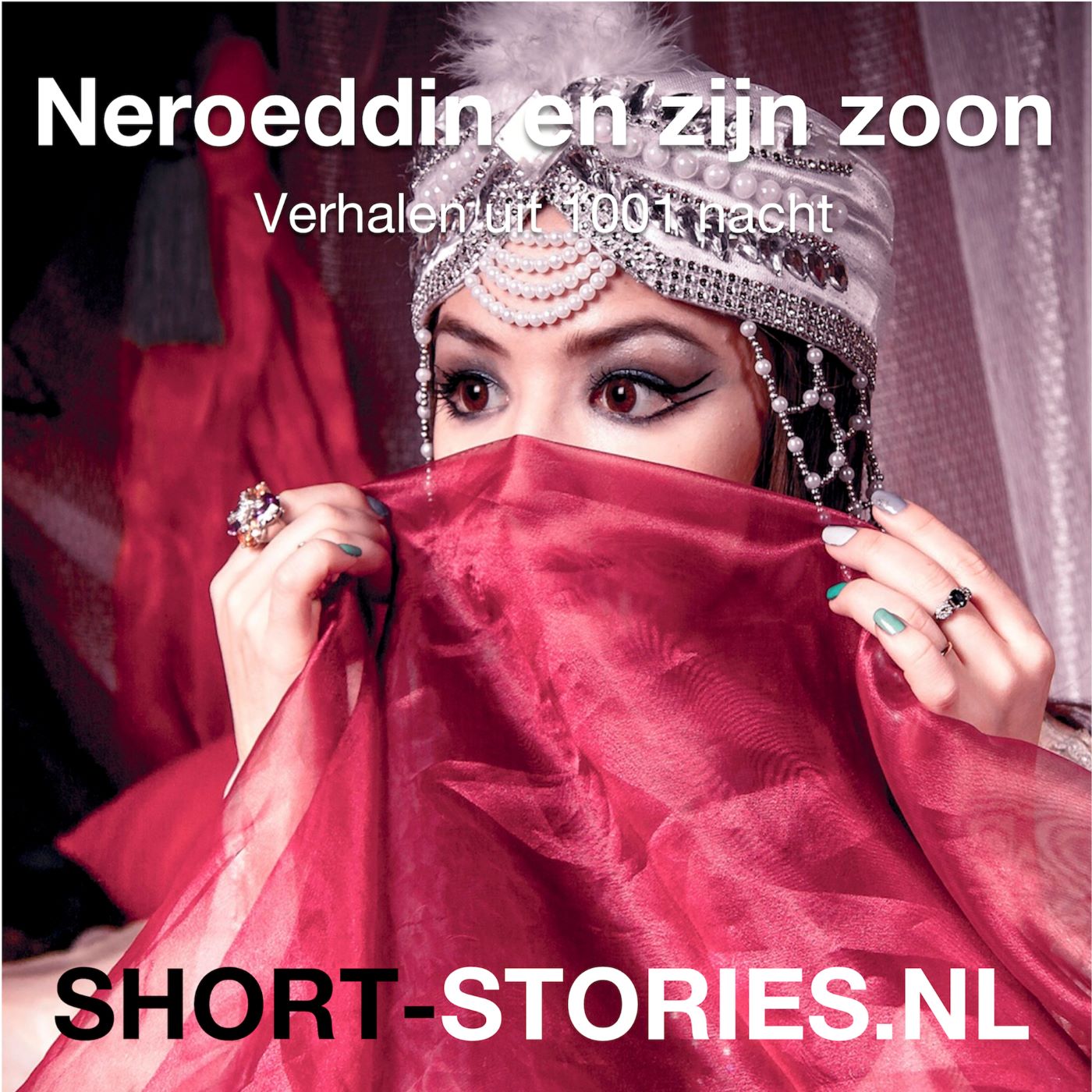 Omslag van Neroeddin en zijn zoon