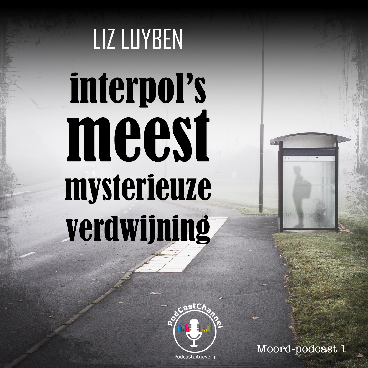 Omslag van Interpol's meest mysterieuze verdwijning