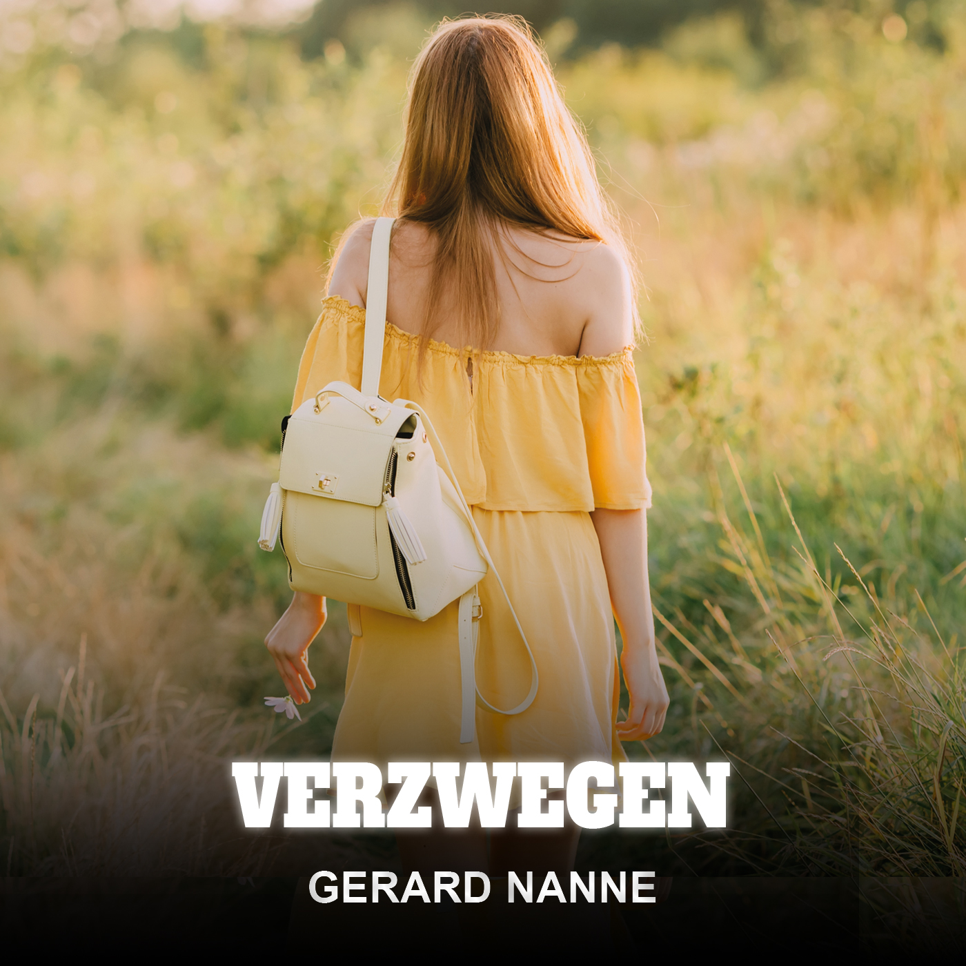 Omslag van Verzwegen