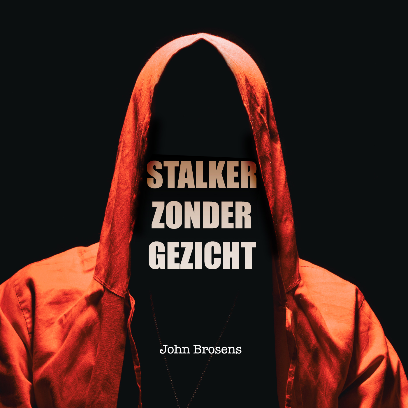 Omslag van Stalker zonder gezicht
