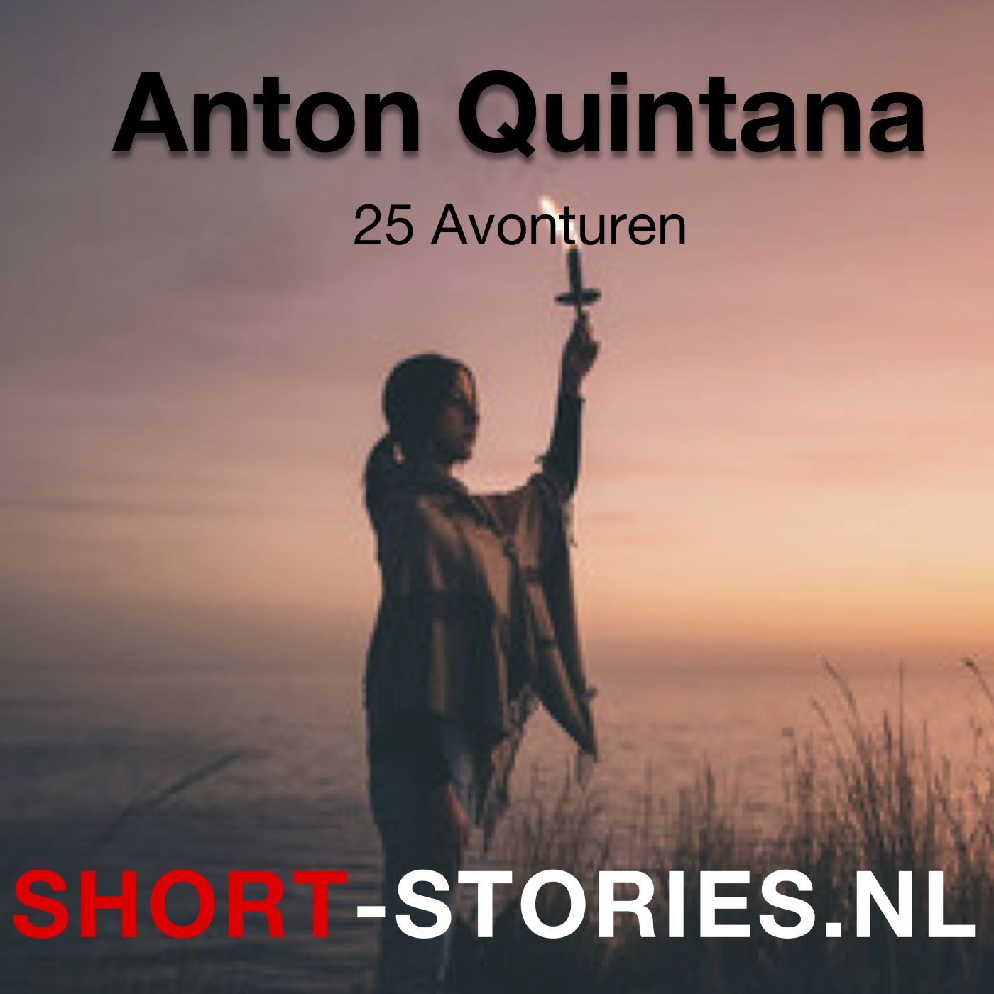 Omslag van 25 Avonturen