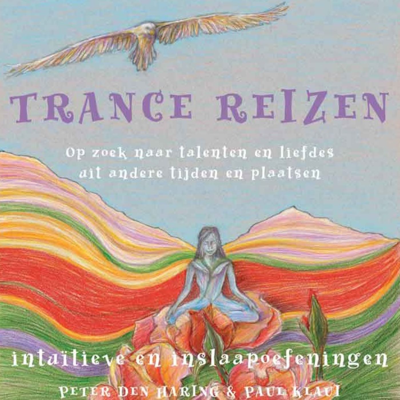 Omslag van Trancereizen