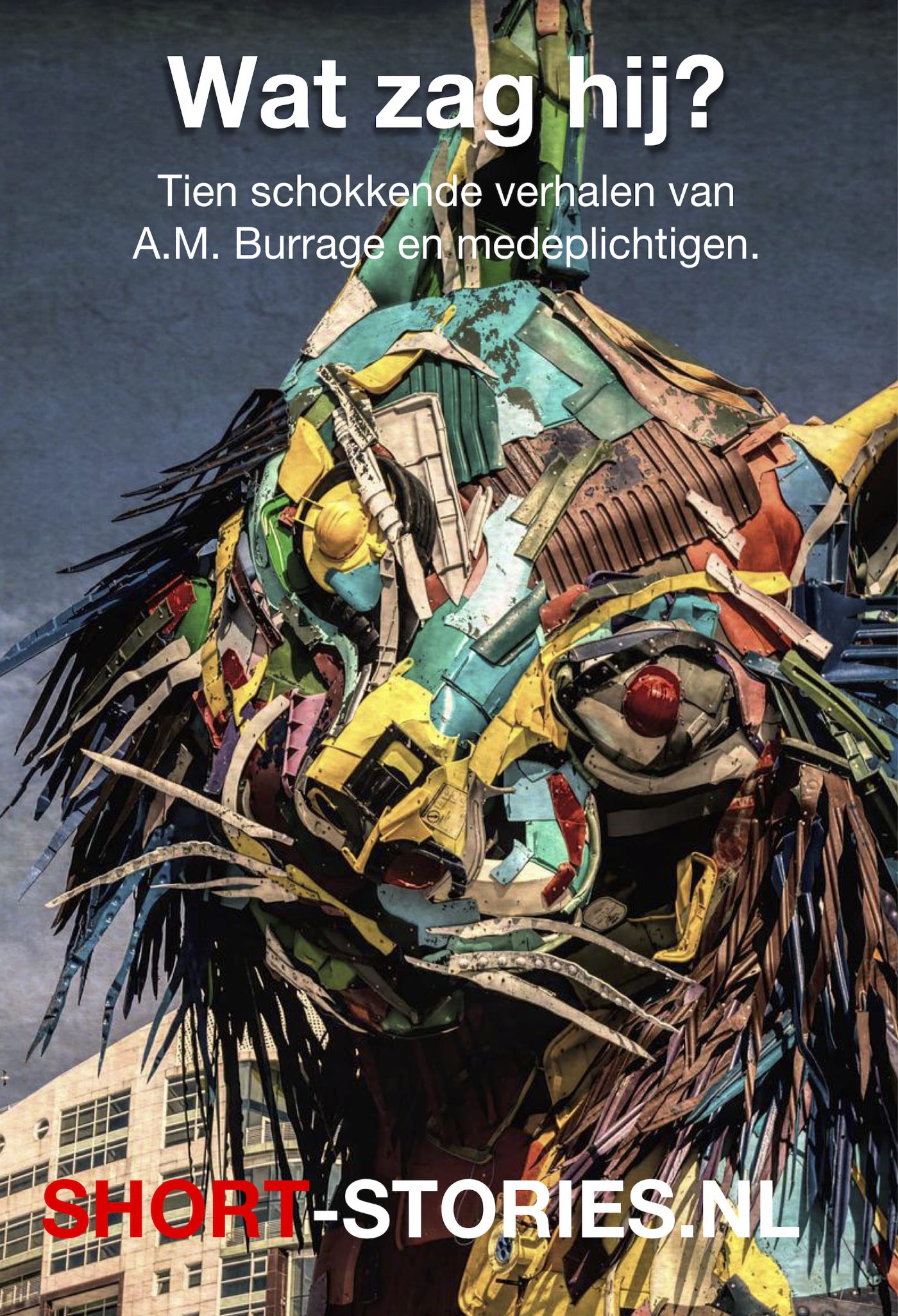 Omslag van Wat zag hij?