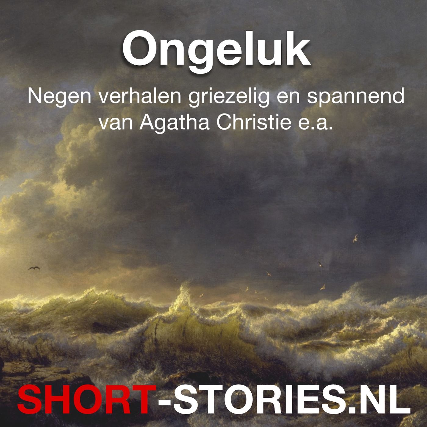 Omslag van Ongeluk