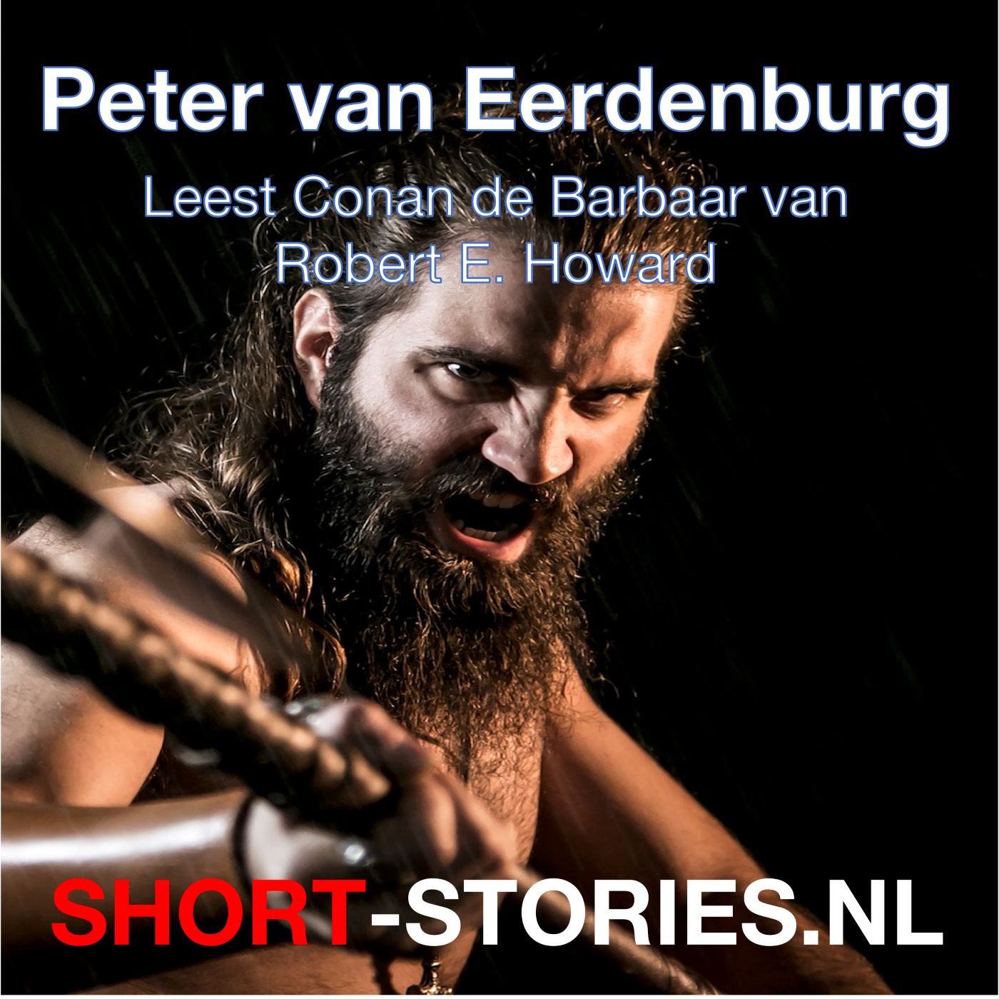 Omslag van Peter van Eerdenburg