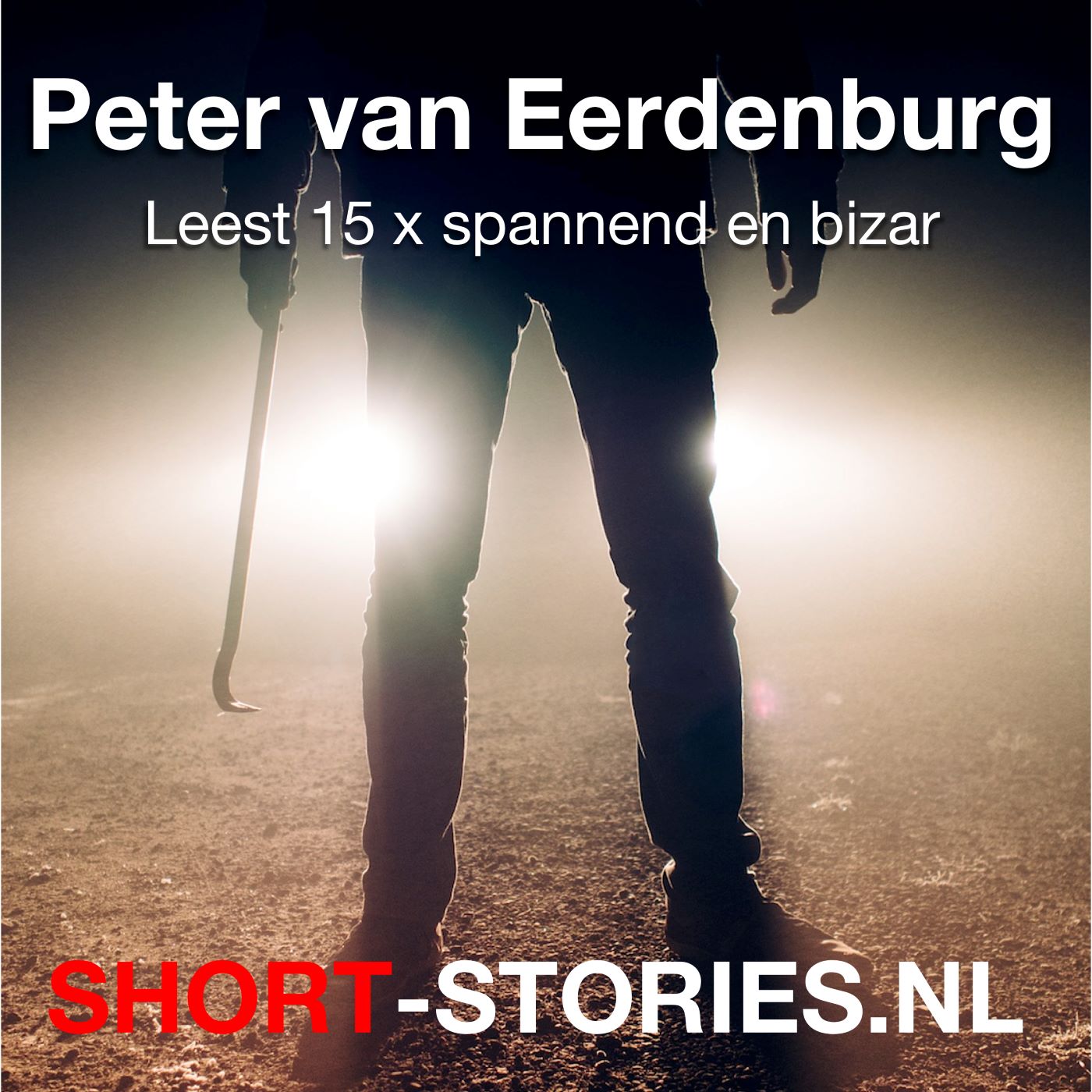 Omslag van Peter van Eerdenburg