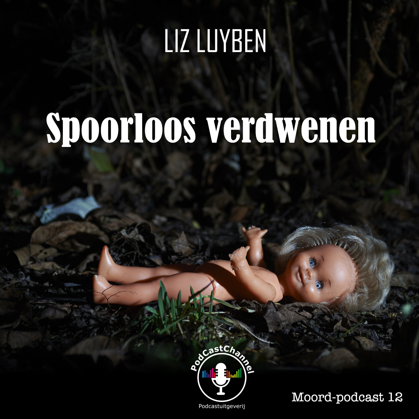 Omslag van Spoorloos verdwenen