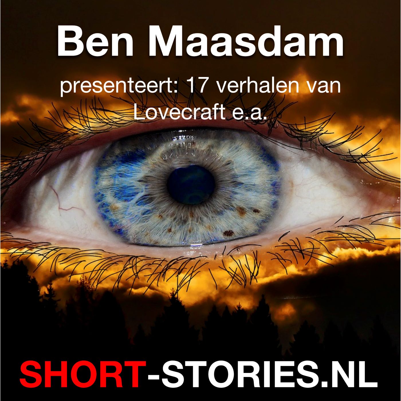 Omslag van Ben Maasdam