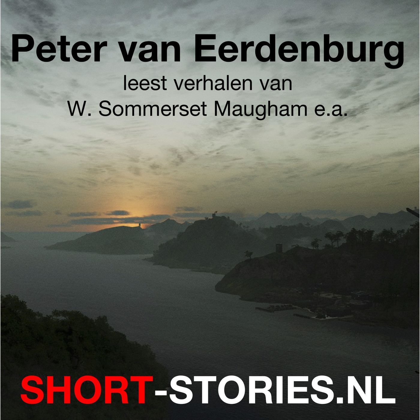 Omslag van Peter van Eerdenburg