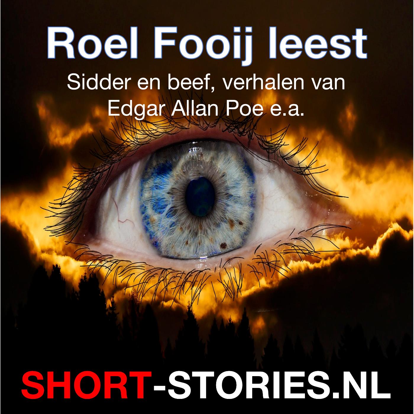 Omslag van Roel Fooij leest