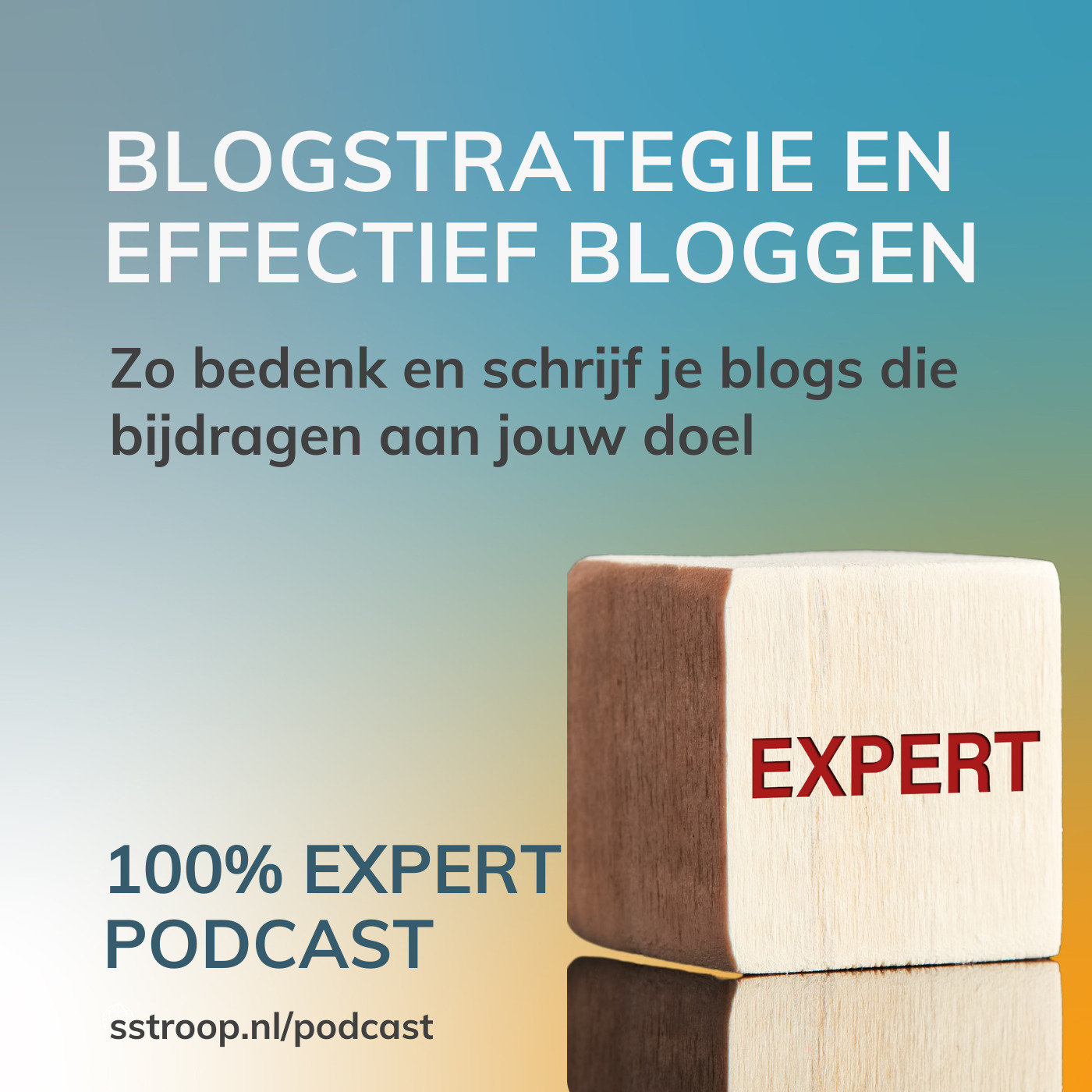 Omslag van Blogstrategie en effectief bloggen