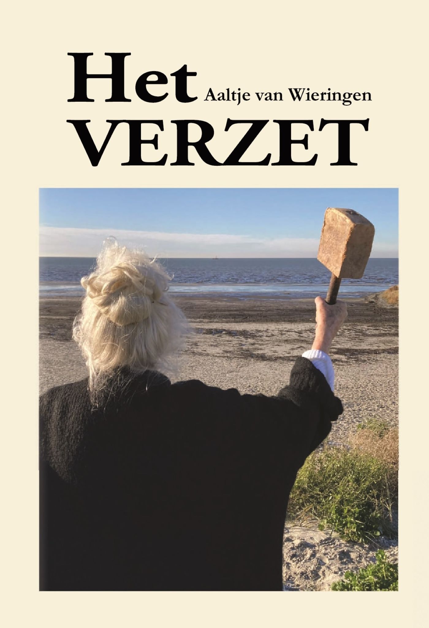 Omslag van Het verzet