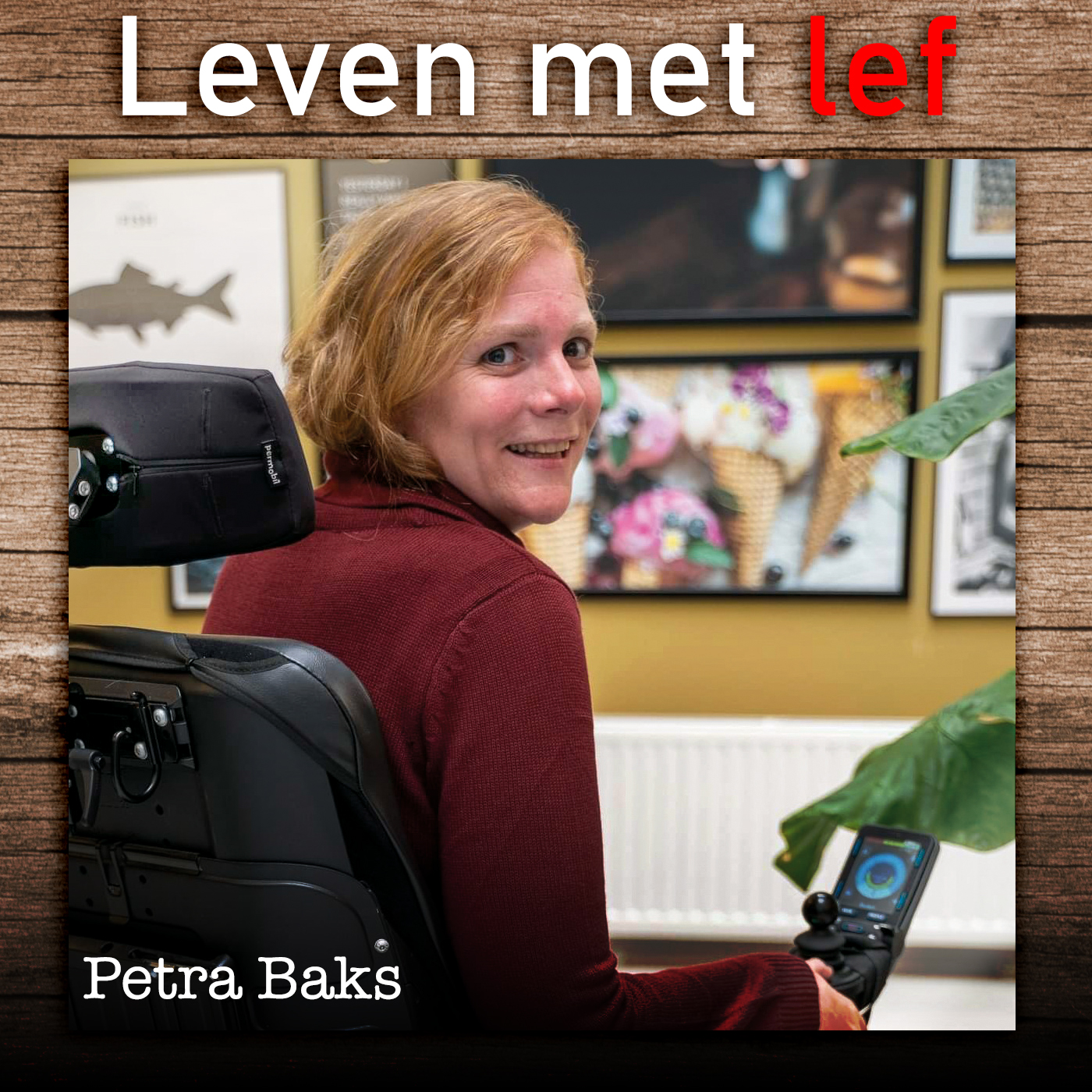 Omslag van Leven met lef