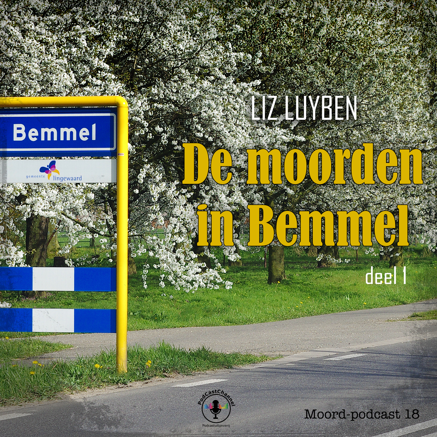 Omslag van De moorden in Bemmel