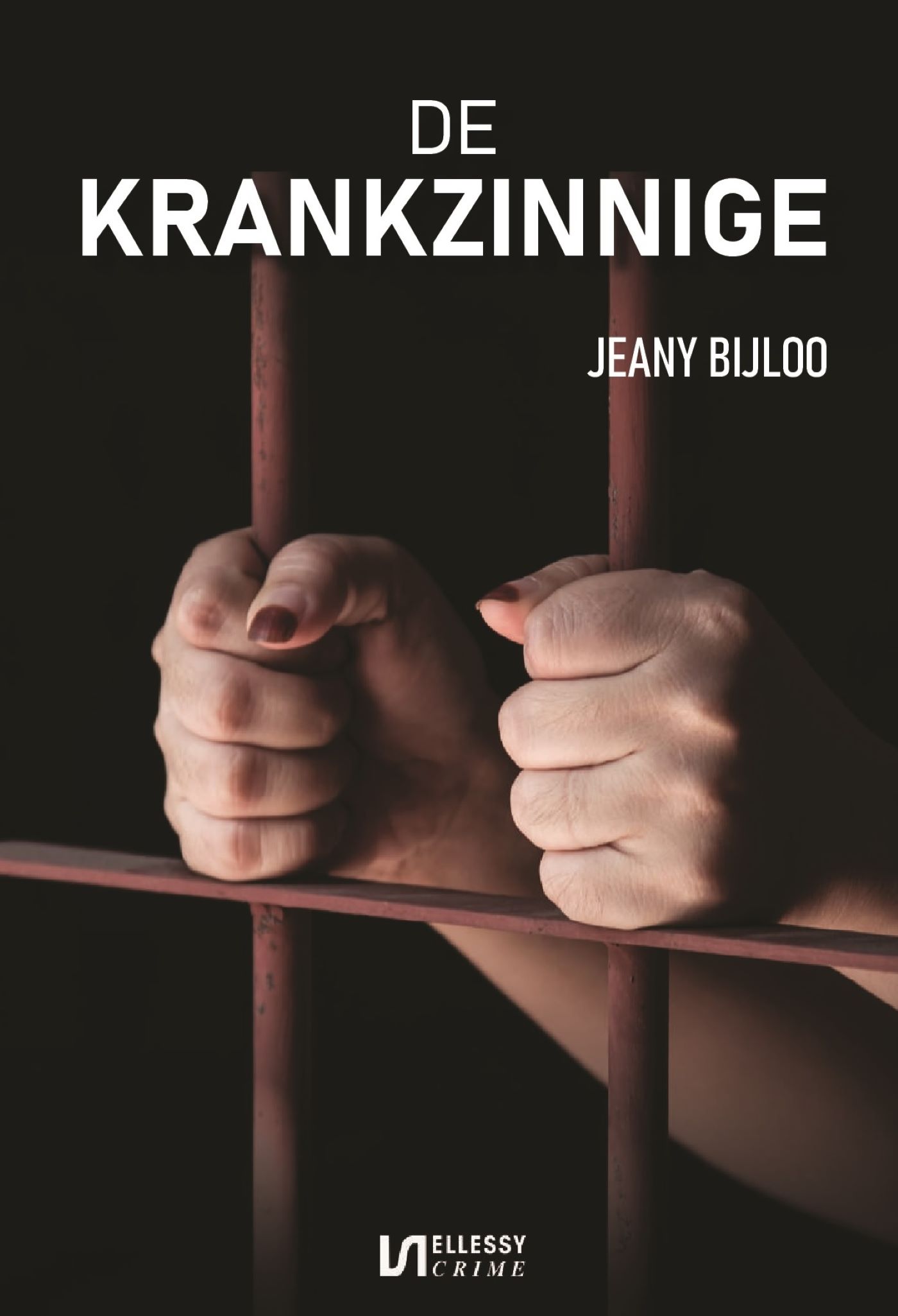 Omslag van De krankzinnige