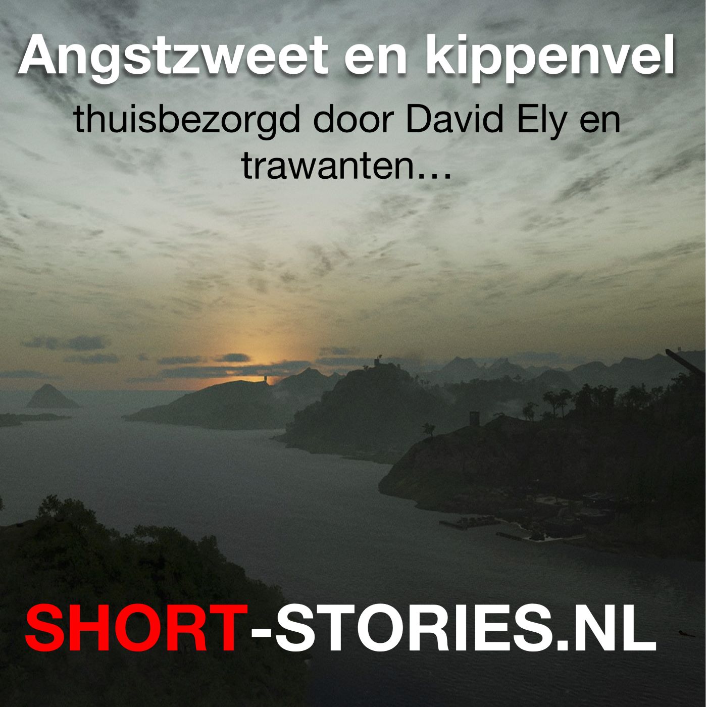 Omslag van Angstzweet en kippenvel
