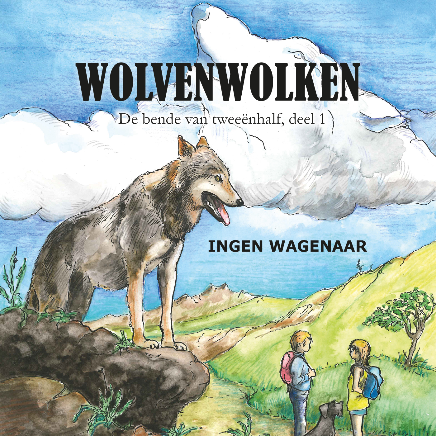 Omslag van Wolvenwolken