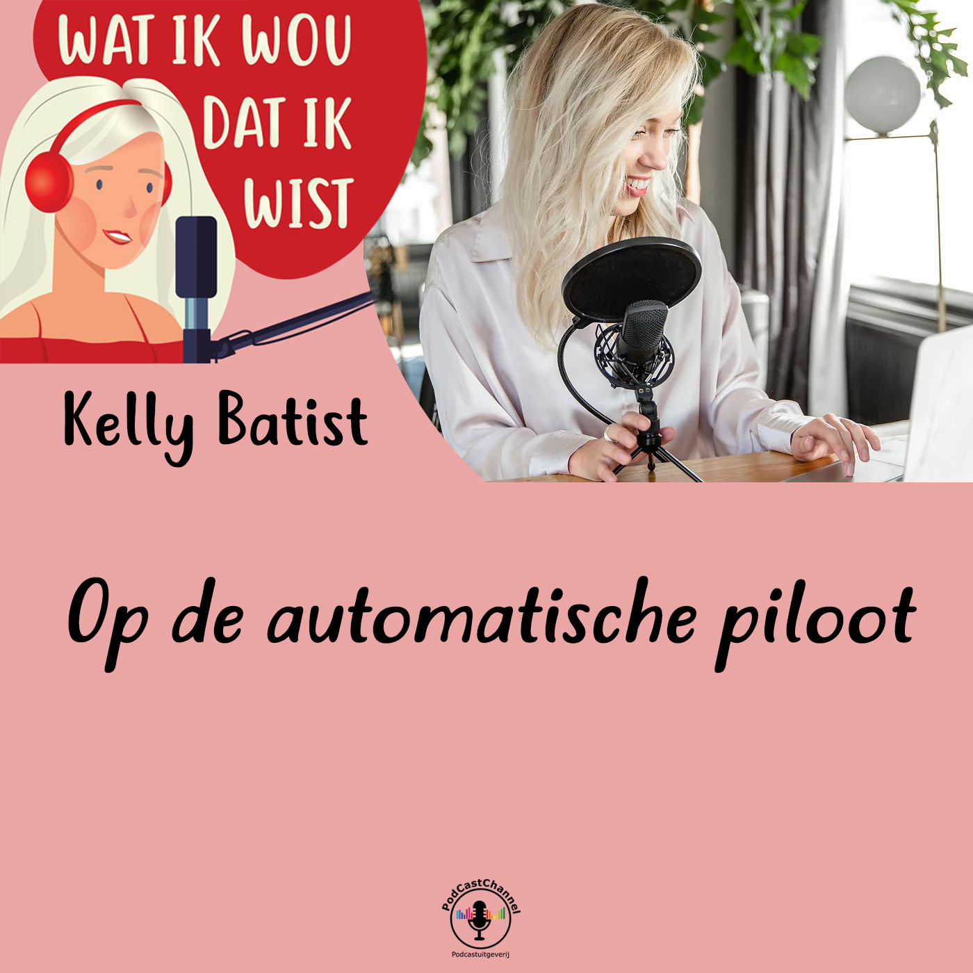 Omslag van Op de automatische piloot