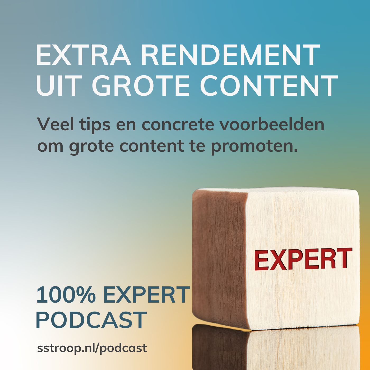 Omslag van Extra rendement uit grote content