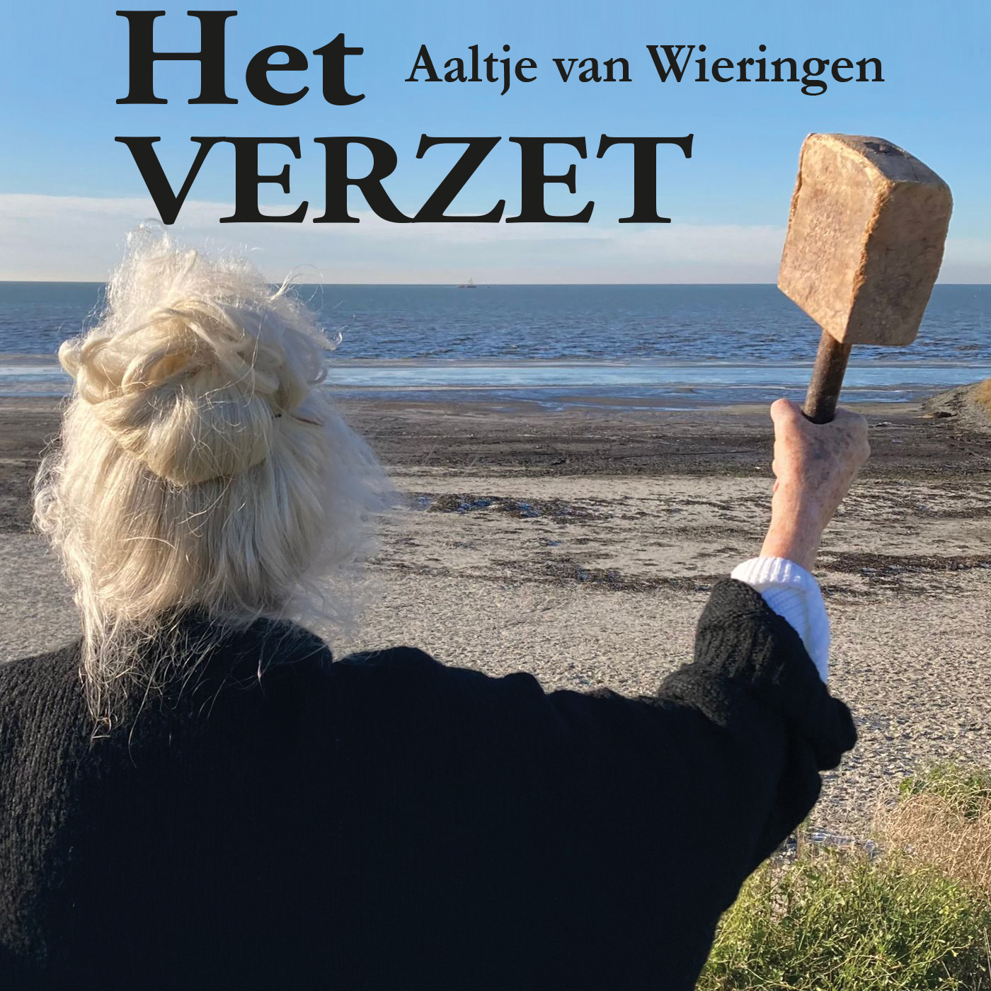 Omslag van Het verzet