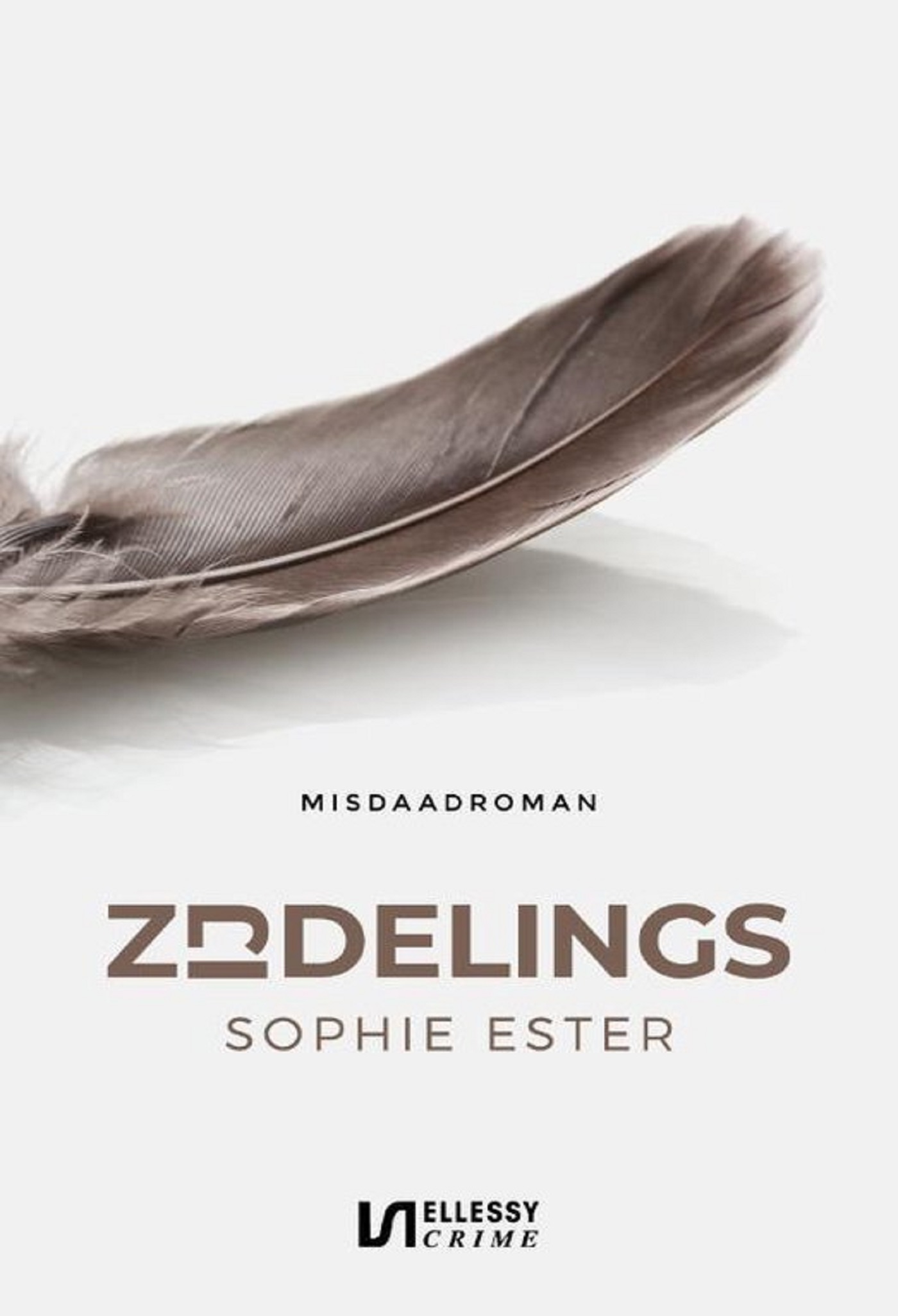 Omslag van Zijdelings